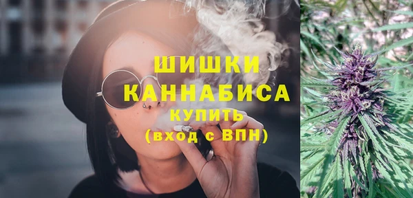 Альфа ПВП Бородино